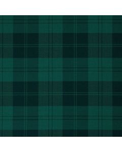Erskine Hunting Modern Tartan Swatch