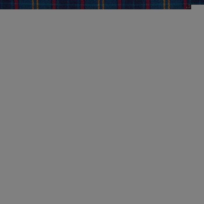 Stone of Destiny Muted Tartan Kilt